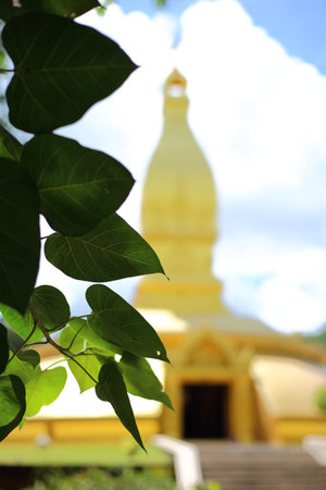 Gold temple in Wat nong pah pong in Thailandの写真素材