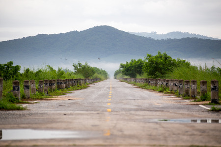 Road and Grassの写真素材