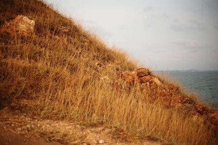Hay mountain in Rayong at Thailandの写真素材