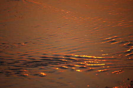 Evening reflection in the waterの写真素材