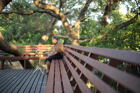 Oldster seat and Mangrove in Rayong at Thailand ,(people blur)の写真素材