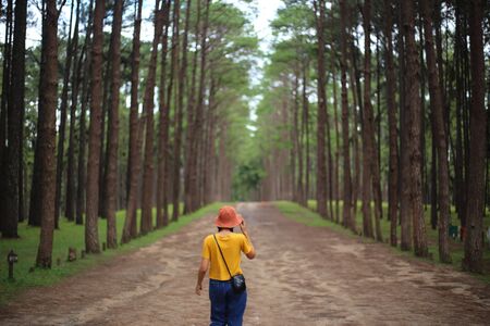 A Woman at Suan Son Bor Kaeo a pine forest in Chiang Mai, Thailandの写真素材