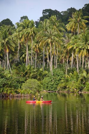 Men and women are kayaking in the canalの写真素材