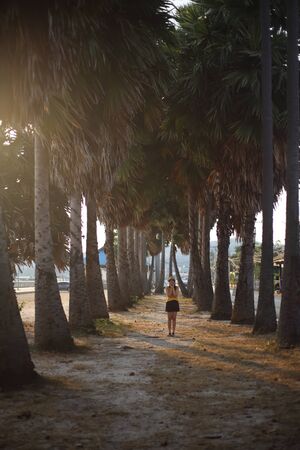 Woman standing in the palm garden planted by the wayside, Sattahip, Thailandの写真素材