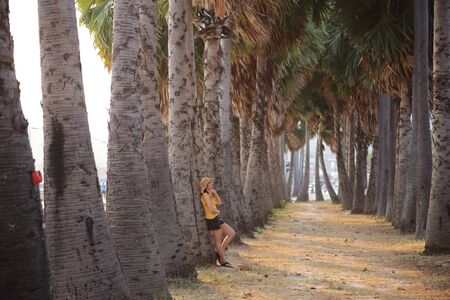 Woman standing in the palm garden planted by the wayside, Sattahip, Thailandの写真素材