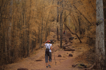 Women standing in the bamboo forest in Phu Kradueng National Park, Loei, Thailand