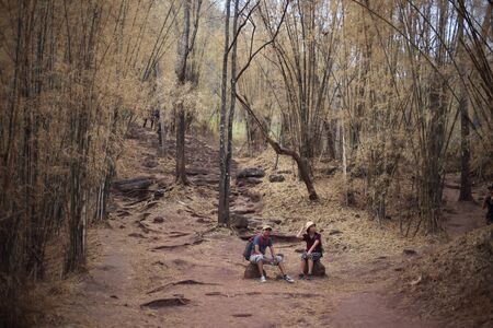 Women and men sitting in the bamboo forest in Phu Kradueng National Park, Loei, Thailandの写真素材