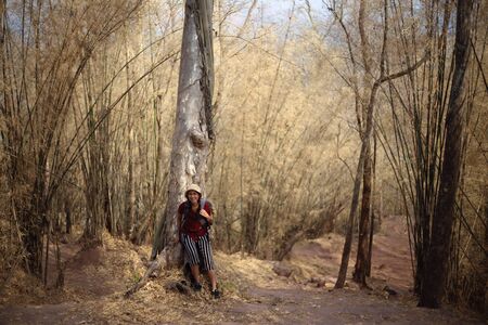 Women standing in the bamboo forest in Phu Kradueng National Park, Loei, Thailandの写真素材