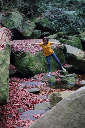 Woman standing on the ground covered with fallen red maple leaves at Phu Kradueng National Park, Loei, Thailandの写真素材