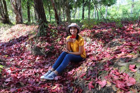 Woman sitting on the ground covered with fallen red maple leaves at Phu Kradueng National Park, Loei, Thailandの写真素材