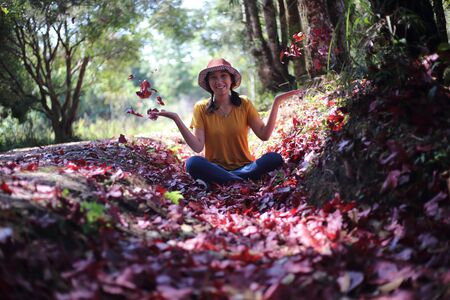 Woman sitting on the ground covered with fallen red maple leaves at Phu Kradueng National Park, Loei, Thailandの写真素材