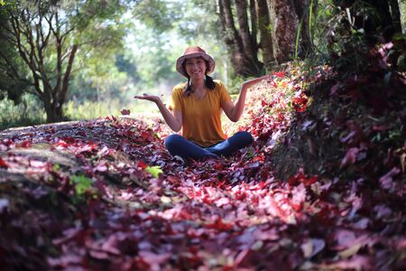 Woman sitting on the ground covered with fallen red maple leaves at Phu Kradueng National Park, Loei, Thailandの写真素材