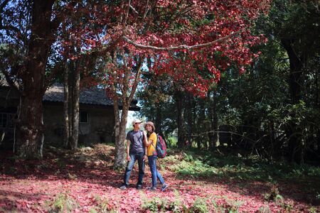 Woman and man standing on the ground covered with fallen red maple leaves at Phu Kradueng National Park, Loei, Thailandの写真素材