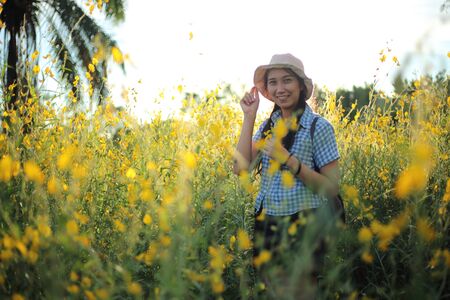 A woman standing in the crotalaria juncea field in Rayong, Thailandの写真素材