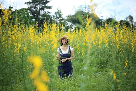 A woman standing in the crotalaria juncea field in Rayong, Thailandの写真素材