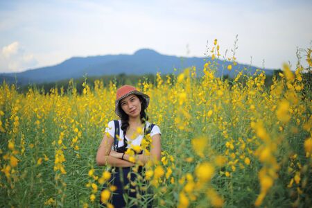 A woman standing in the crotalaria juncea field in Rayong, Thailandの写真素材