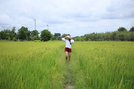 A woman standing in a rice field in Rayong, Thailandの写真素材