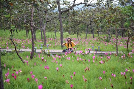 Women in the fields of Krachiew flowers at Pa Hin Ngam National Park in Chaiyaphum, Thailandの写真素材
