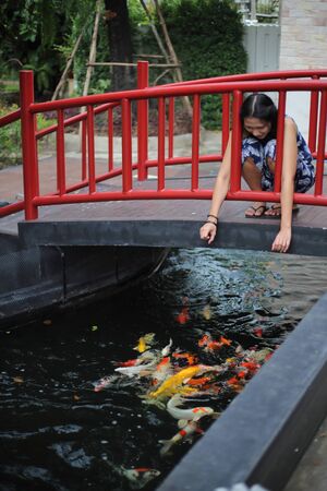 Woman sitting on a bridge in the garden and watching koi fishの写真素材