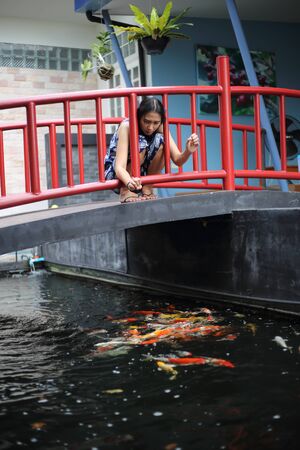 Woman sitting on a bridge in the garden and watching koi fishの写真素材