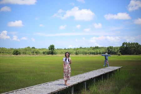 A woman standing on a wooden bridge in a rice fieldの写真素材