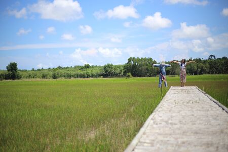 A woman standing on a wooden bridge in a rice fieldの写真素材