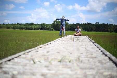 A woman sitting on a wooden bridge in a rice fieldの写真素材