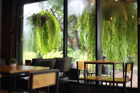interior of a restaurant with green plants and wooden chairs in the foregroundの写真素材