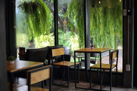 Tables and chairs in a cafe with green plants on the backgroundの写真素材