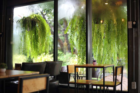 Interior of a modern coffee shop with green plants on the wallの写真素材
