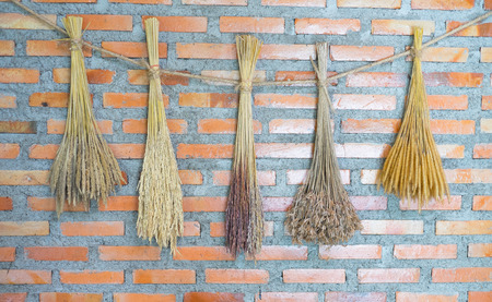 Dry flowers and dry rice flower hung on the red brick wall.の写真素材