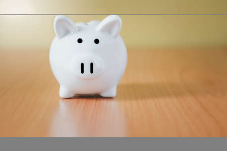 Stacking coins pile and white piggy bank for savings with money and planning step up to growing, Saving money for retirement fund and the future plan concept.の写真素材