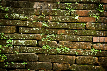 in templeの写真素材