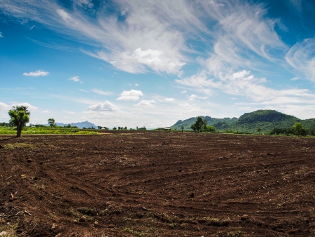 Brown agricultural soil of a fieldの写真素材
