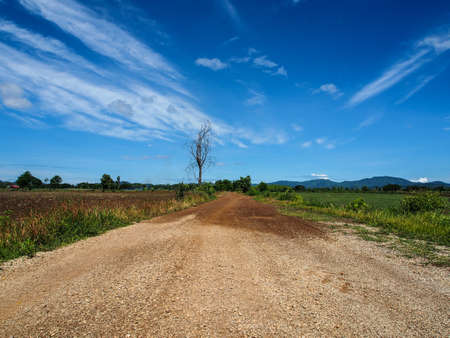 Rural road and blue sky with cloudsの写真素材