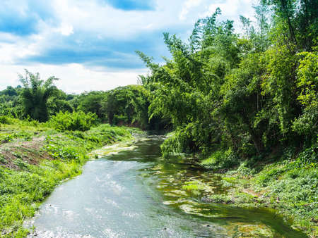 landscape with trees and a river の写真素材