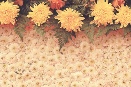Vingtage of flower background