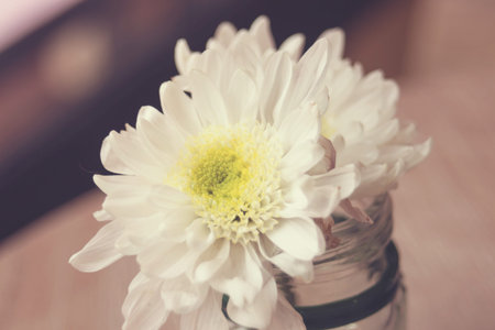 flower in vase on the wood texture background in coffee shop with a retro vintage filter effectの写真素材
