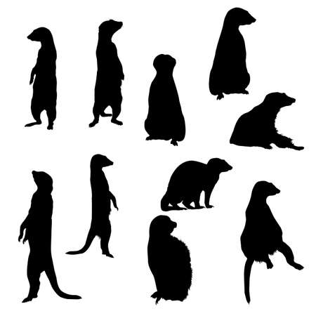 Collection silhouettes of meerkats in different posturesのイラスト素材