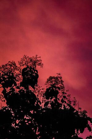 Red light in the atmosphere before a rain の写真素材