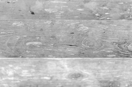 Trees occur naturally beautiful with different textures can be used in various fields as well.の写真素材