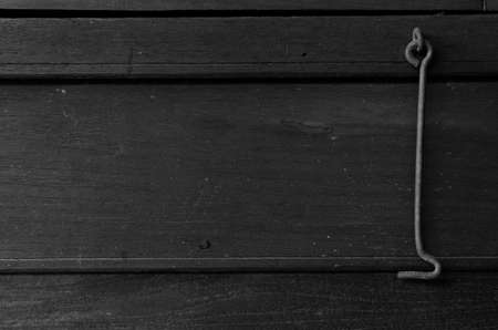 Trees occur naturally beautiful with different textures can be used in various fields as well.の写真素材