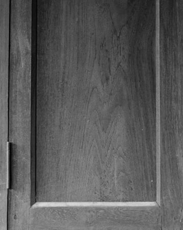 Trees occur naturally beautiful with different textures can be used in various fields as well.の写真素材