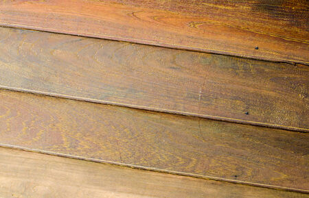 Trees occur naturally beautiful with different textures can be used in various fields as well.の写真素材