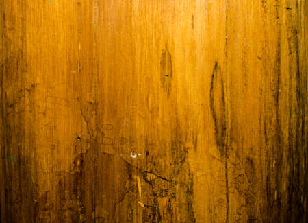 Trees occur naturally beautiful with different textures can be used in various fields as well.の写真素材