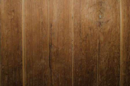 Trees occur naturally beautiful with different textures can be used in various fields as well.の写真素材