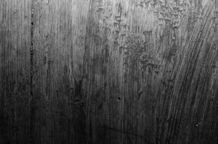 Trees occur naturally beautiful with different textures can be used in various fields as well.の写真素材