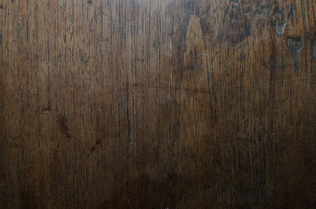 Trees occur naturally beautiful with different textures can be used in various fields as well.の写真素材