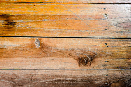 Trees occur naturally beautiful with different textures can be used in various fields as well.の写真素材