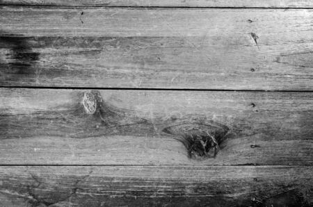 Trees occur naturally beautiful with different textures can be used in various fields as well.の写真素材